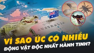 VÌ SAO ÚC CÓ NHIỀU ĐỘNG VẬT ĐỘC NHẤT HÀNH TINH?