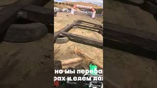 Мотоальфа А5 лучший среди равных на соревнованиях от компании Мотобаза по ссылкеhttps://t.me/BullR8