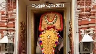 തൃശ്ശൂർ പൂരം 2021പാറമേക്കാവ് ദേശം