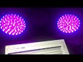 Lady Gaga - Hair Body Face, DMX Lighting, Chauvet SlimPAR 64 RGBA