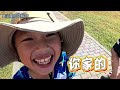 100元玩sup立槳，穿泳衣玩嬉濱海豚公園，彰濱海fun一夏慶安水樂園，免費氣墊設施