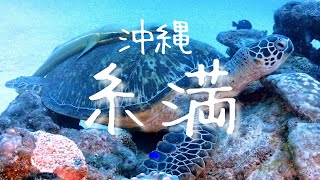 【沖縄/糸満】名城沖ウミガメダイビング♪