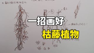 枯藤植物怎么画？钢笔速写教程