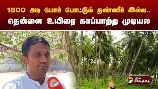 கோவை: வாழ்வாதாரம் பாதித்து பரிதவிக்கும் தென்னை விவசாயிகள் | Pollachi | PTT