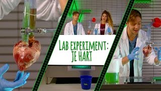 RACHEL EN ELBERT TESTEN HET HART! - LAB EXPERIMENT