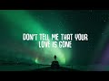 SLANDER - Love is Gone (Lyrics) ft. Dylan Matthew (Acoustic) I'm sorry don't leave me