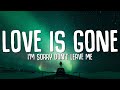 SLANDER - Love is Gone (Lyrics) ft. Dylan Matthew (Acoustic) 