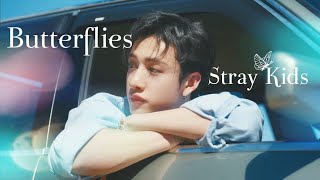 【FMV】Butterflies/Stray Kids (日本語字幕/ENG/한국어 자막)【Stray Kids】