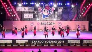 Ｙ．Ｍ．わっしょい　in　坂戸よさこい　2014