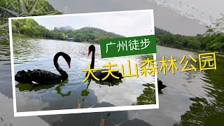 广州免费景点：大夫山森林公园