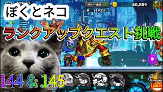 ぼくとネコ！ランクアップクエスト144\u0026145挑戦🎵