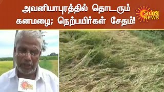 200 ஏக்கர் நெற்பயிர்களை அறுவடை செய்ய முடியாமல் சேதம் | சன் நியூஸ்