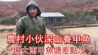 小伙深山養甲魚，一場大雨甲魚塘差點被沖垮了，趕緊把排水口打開！ 【石頭記事】