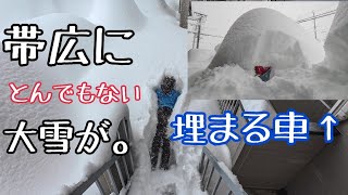 【北海道移住】北海道の洗礼を受けました【帯広/大雪/十勝】