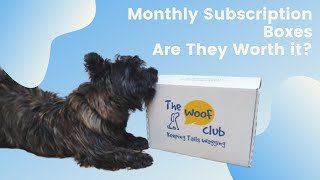 Are Monthly Dog Subscription Boxes Worth It?