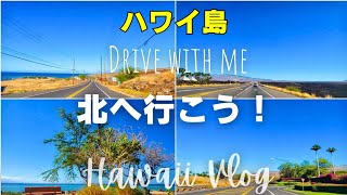 ハワイ島Vlog 北へ行こう～