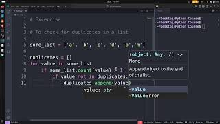 Exercise: Find Duplicate Values in Python | Beginner Python Practice**
