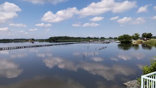 館林市【多々良沼】グンマーの大きな沼の周りを散歩してみた