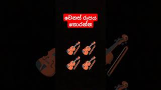 කියමු බලන්න වැඩ්ඩෙක් නම්