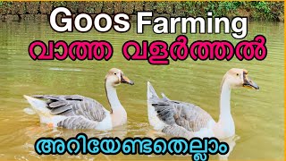 Goos farming വാത്തകളേ കുറിച്ച് അറിയാന്‍ ....../pet mix