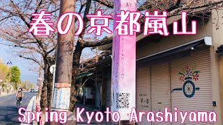 春の京都嵐山渡月橋🌸 Spring Kyoto Arashiyama 2022年3月25日