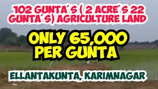 AGRICULTURE LAND 102 GUNTA'S at ELLANTAKUNTA, KARIMNAGAR | REAL ESTATE | TELANGANA | INVESTMENT