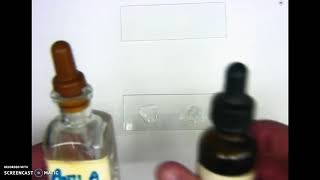 Blood Type Lab Instructions