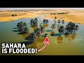 Sahara Desert Was Dry for 50 Years, Now It's Flooded! How Come?