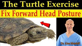 The Turtle Exercise / The Simple \u0026 Fun Way to Fix Forward Head Posture - Dr Alan Mandell, DC