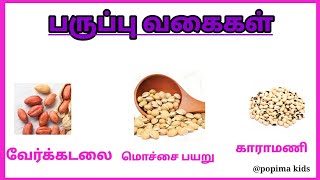 பருப்பு வகைகளின் தமிழ் பெயர்கள்// குழந்தைகளுக்கான பருப்பு வகைகள் @popimakids