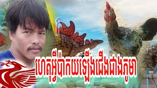 ហេតុអ្វីប៉ាកយឡើងជើងខ្លាំងជាងភូមា