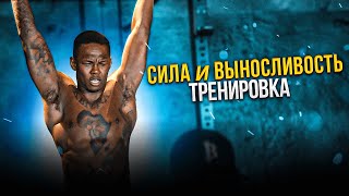 За кулисами подготовки к UFC 281 | Тренировка Исраэля Адесаньи | Силовая и кондиционная подготовка