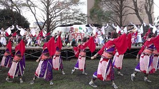 常磐 @よさこい東海道(中央公園演舞場/前日祭) 2018-11-10T16:12