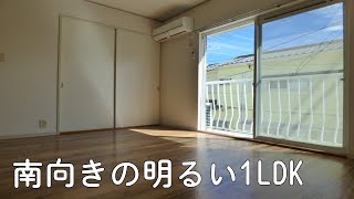 【賃貸ルームツアー】1人暮らしにオススメの１Kアパート部屋紹介・神奈川県中央林間不動産水島商事