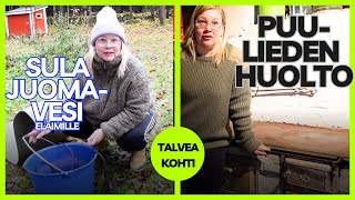 Talveen varautumista: puuhellan huolto \u0026 lämmitettävä vesiastia ankoille