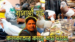 Pet market - Banerjee hat bird market। Banerjee hat pigeon market।