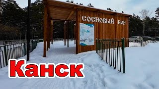 г. Канск. Сосновый бор.