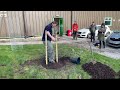 arbor day uk 2024 at myerscough college