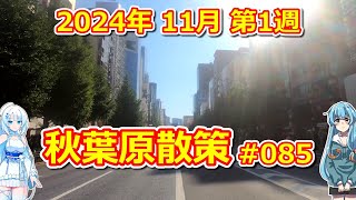 【パソコン】 秋葉原散策 #085 2024年 11月 第1週 【ジャンク】