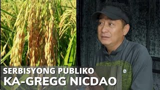 Serbisyong Publiko | Tips sa Pagpapalago ng Ani, Sasagutin ni Ka-Gregg Nicdao