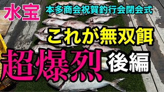 これが無双餌！怒涛の爆裂・後編～この餌で十分～【海上釣堀水宝】「本多商会快釣餌全国通信販売祝賀釣行会」@p.pochisanyoutube.com/@p.pochisan