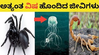 ಪ್ರಪಂಚದ ಅತ್ಯಂತ ವಿಷ ಹೊಂದಿದ ಜೀವಿಗಳು.Top amazing facts in kannada