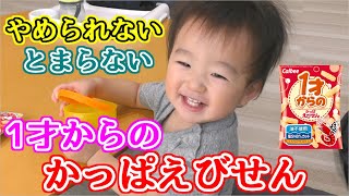 赤ちゃんもかっぱえびせんを食べるとやめられない、とまらない状態になるのか？【1歳1ヶ月】