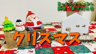 クリスマスについて【不運で車椅子生活になった男が語る】まっつんチャンネル第1838日目