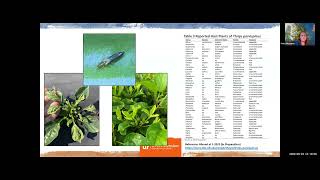 Thrips Management Webinar