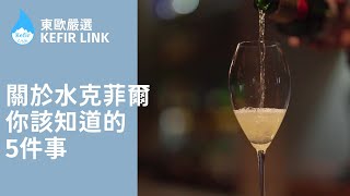 關於水克菲爾，你應該知道的5件事｜東歐嚴選｜Kefir Link｜