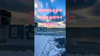 겨울 대천해수욕장에서 즐길거리 6가지 #대천해수욕장 #보령여행 #보령가볼만한곳 #shorts