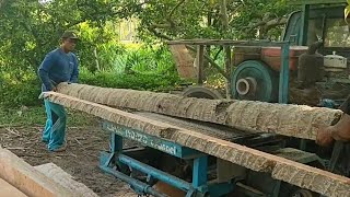 penggergajian kayu glugu di tempat yang sejuk