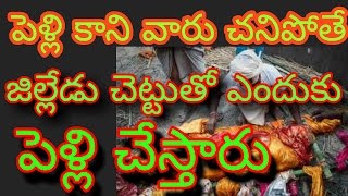 why unmarried person married to tree after death|facts behind marriage,death|hindu culture in telugu