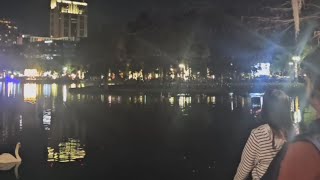 Drone Fail: Woman Hit by Drone at Lake Eola Show || WooGlobe